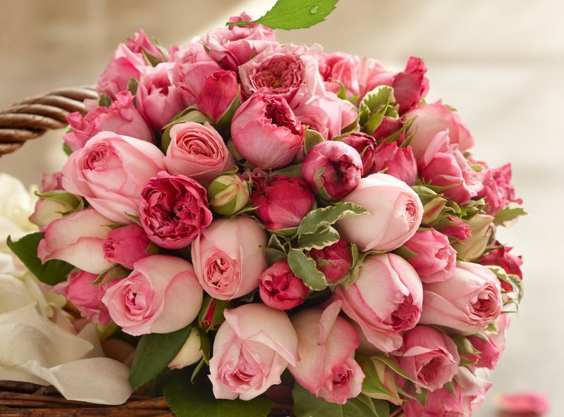 roses-pink-bouquet-beauty-rozy-rozovye-butony-lepestki-buket-krasota1.jpg