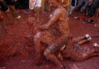 tomatina.jpg