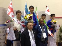 kurash wc131214 73kg naniev.jpg