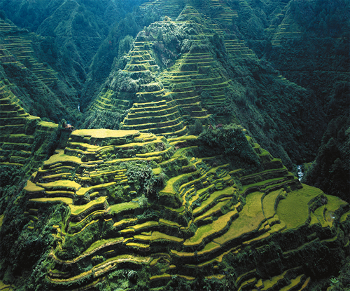 banaue-rice-terraces-715556.jpg